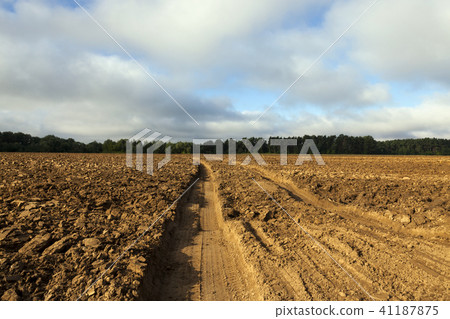 plowed soil, 41187875