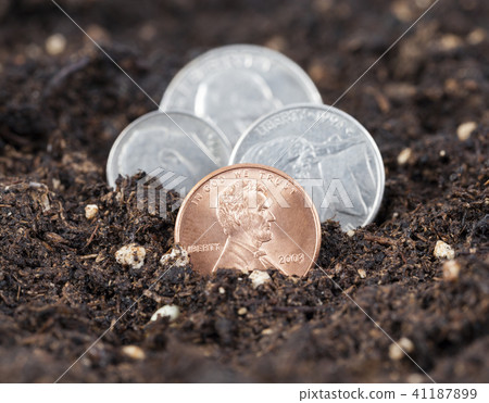 growing American coins 41187899