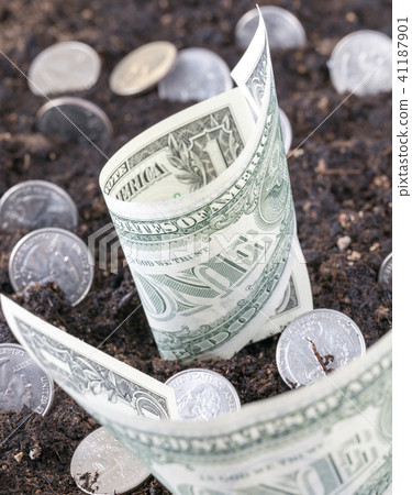 American coins 41187901