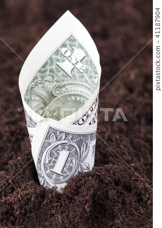 one American dollar, 41187904