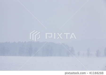 Winter landscape 41188288