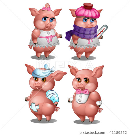 Healthy and diseased pig isolated on white background. Vector cartoon close-up illustration. Healthy and diseased pig isolated on white background. Vector cartoon close-up illustration. 41189252