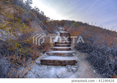 Wooden stairs on a hike in southern California 41190428