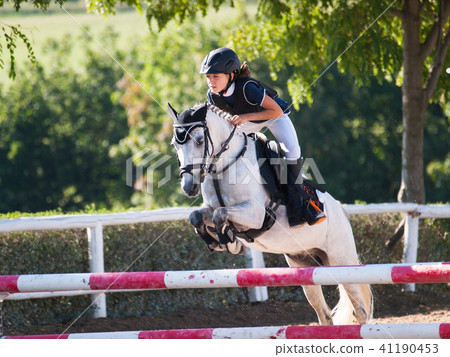 Young girl with roan pony upon hurdle Young girl with roan pony upon hurdle 41190453