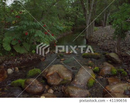 Upstream _ Rokka Forest Upstream _ Rokka Forest 41190656