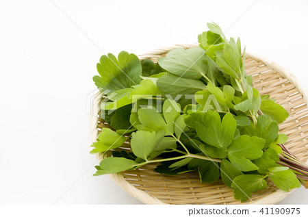 Longevity grass (Button bow fish) 41190975