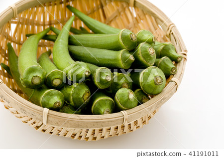 Okra 41191011