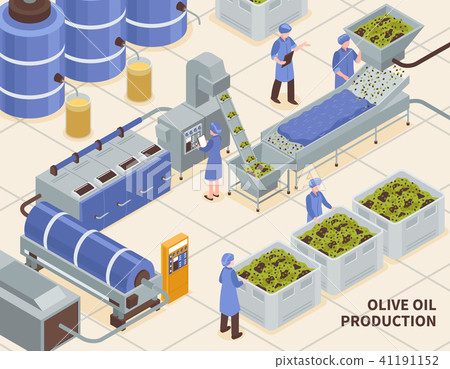 Olive Oil Production Isometric 41191152