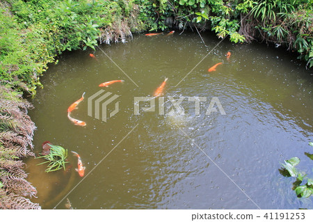 Omori shrine (catfish shrine) Omori shrine (catfish shrine) 41191253