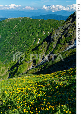 Flower field and Mt. Fuji in the Southern Alps · North Kitakami Ridgeline Flower field and Mt. Fuji in the Southern Alps · North Kitakami Ridgeline 41191671