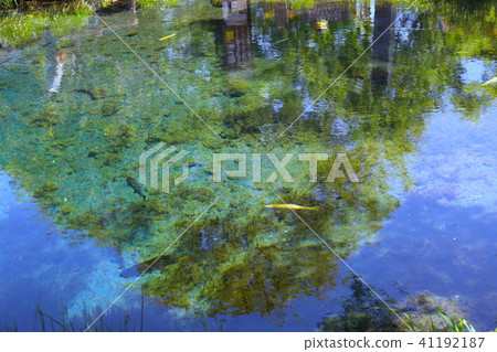 [Yamanashi Prefecture] Oshino Hakkai and Yuike 41192187