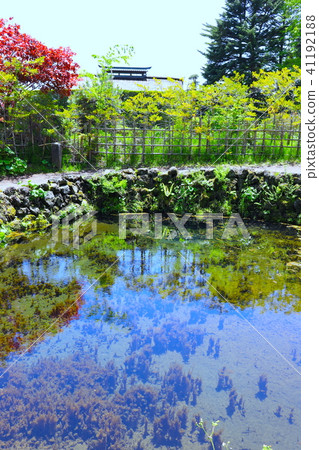 [Yamanashi Prefecture] Oshino Hakkai/Choshiike 41192188