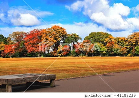 秋葉的Kanazawa城堡公園 秋葉的Kanazawa城堡公園 41192239