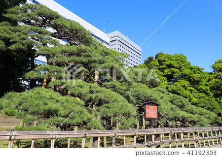 [東京]濱Ham立三百年的庭園和松樹 41192303