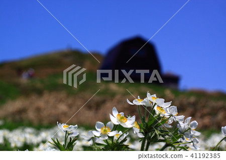 Izumi-dake的Ideyo·Hakusan Ichige 41192385