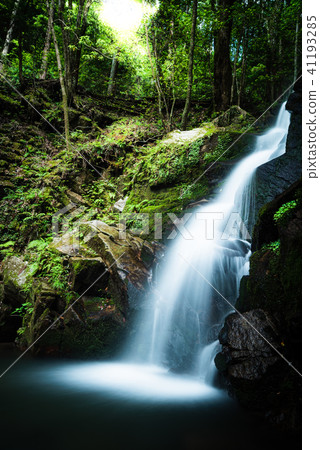 Kasugayama Primitive Forest Falls of Yuge 41193285