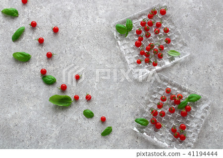 微番茄羅勒 41194444