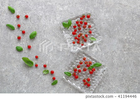 微番茄羅勒 微番茄羅勒 41194446