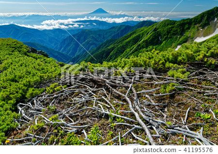 Fumushi and Mt. Fuji on the southern Alps · Nuno dake ridgeline 41195576
