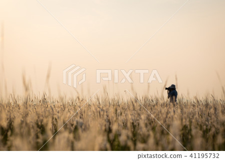 熱情的攝影師 41195732