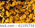 Ginkgo Carpet 41195738