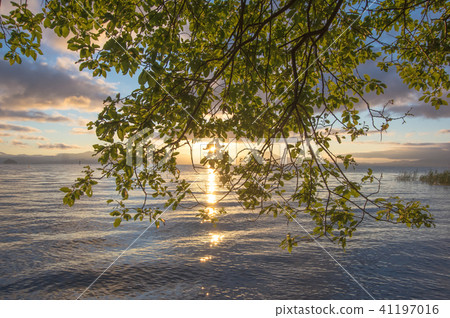 Morning of Lake Biwa 41197016