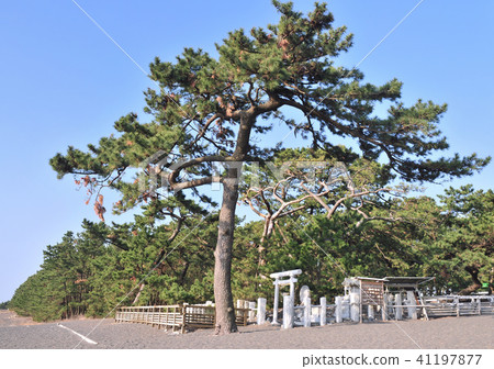 Miho no Matsubara -18459 Miho no Matsubara -18459 41197877