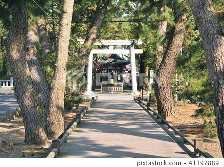 God's way -18472 41197889