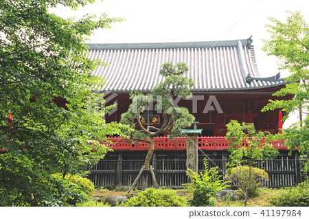 Shimizu Kannondo Moon's Matsuke Ueno Park 41197984