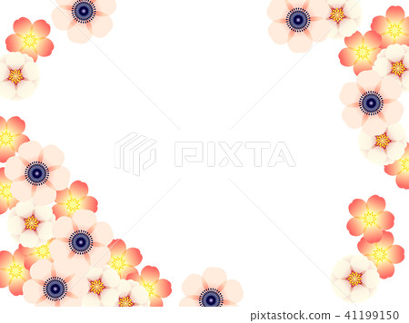 Frame of anemone and rose Frame of anemone and rose 41199150