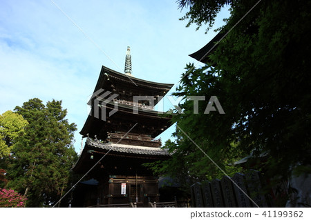 From Sayama Senkoji 41199362