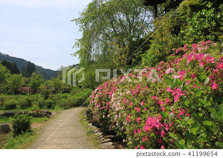 Spring of Uda Spring of Uda 41199654