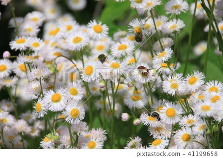 Spring of Uda Spring of Uda 41199658