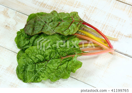 Swiss Chard, ordinary grass Swiss Chard, ordinary grass 41199765