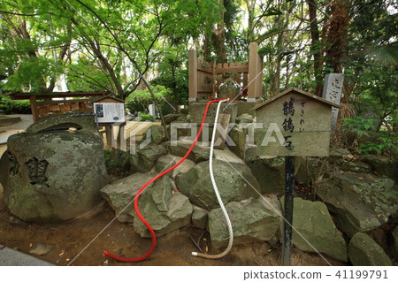 Shima Shrine的神社 Shima Shrine的神社 41199791