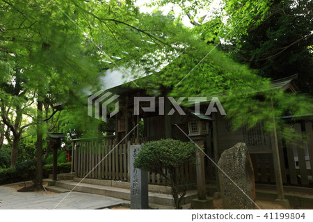 Shima Shrine的神社 41199804