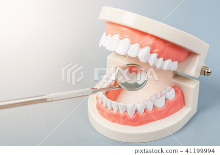 Mirror dentist equipment with model teeth. 41199994