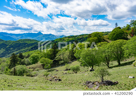 Kanuma-shi, Tochigi pre-former Nikko Kanto contact road (May) 41200290