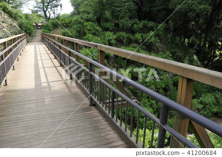 黑部城堡廢墟公園繡球花橋 黑部城堡廢墟公園繡球花橋 41200684