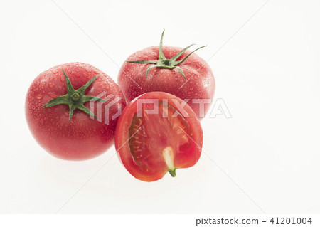 Tomato Tomato 41201004