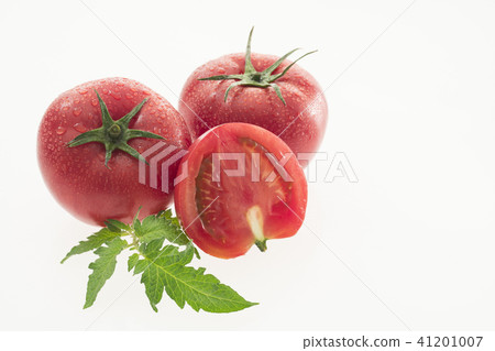 Tomato Tomato 41201007