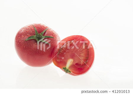 Tomato Tomato 41201013