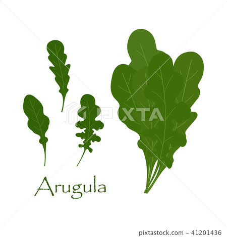 set with arugula set with arugula 41201436