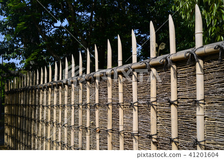 Katsura Hikaku Higaki -15 41201604