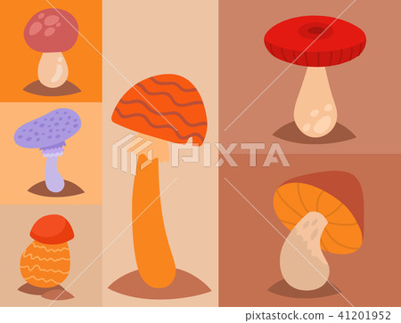 Mushrooms fungus agaric toadstool different art style design fungi vector illustration red hat 41201952
