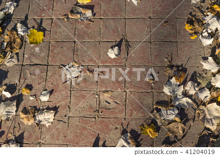 Natural stamped concrete pavement outdoor flooring decorative appearance of red tiling 41204019