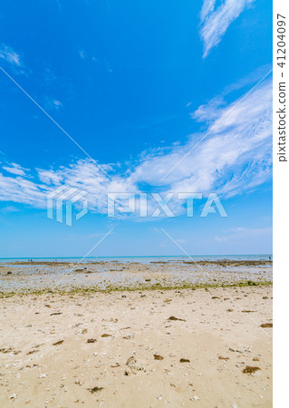 [Okinawa Prefecture] Coast image 41204097