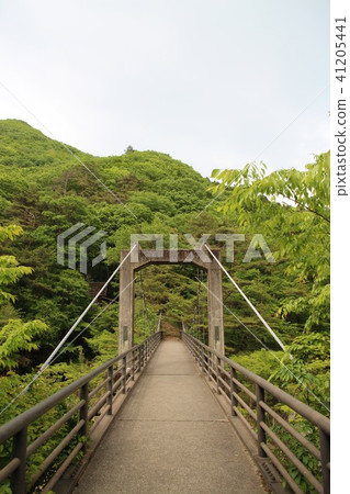 Ryuyo Gorge 41205441