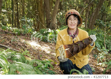 切開竹樹叢的老婦人 41207713