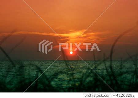 blur sunset on the sea silhouette grass on beach 41208292